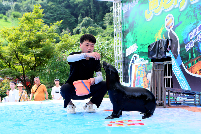 張家界黃龍洞：溶洞清涼游升溫 中外游客盡享夏日避暑新體驗