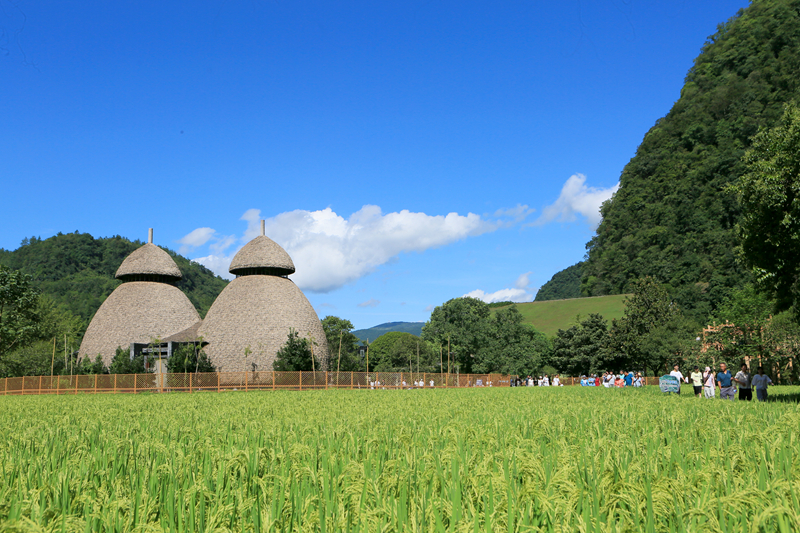 張家界黃龍洞：農(nóng)旅融合生態(tài)美，田園風(fēng)光引客來